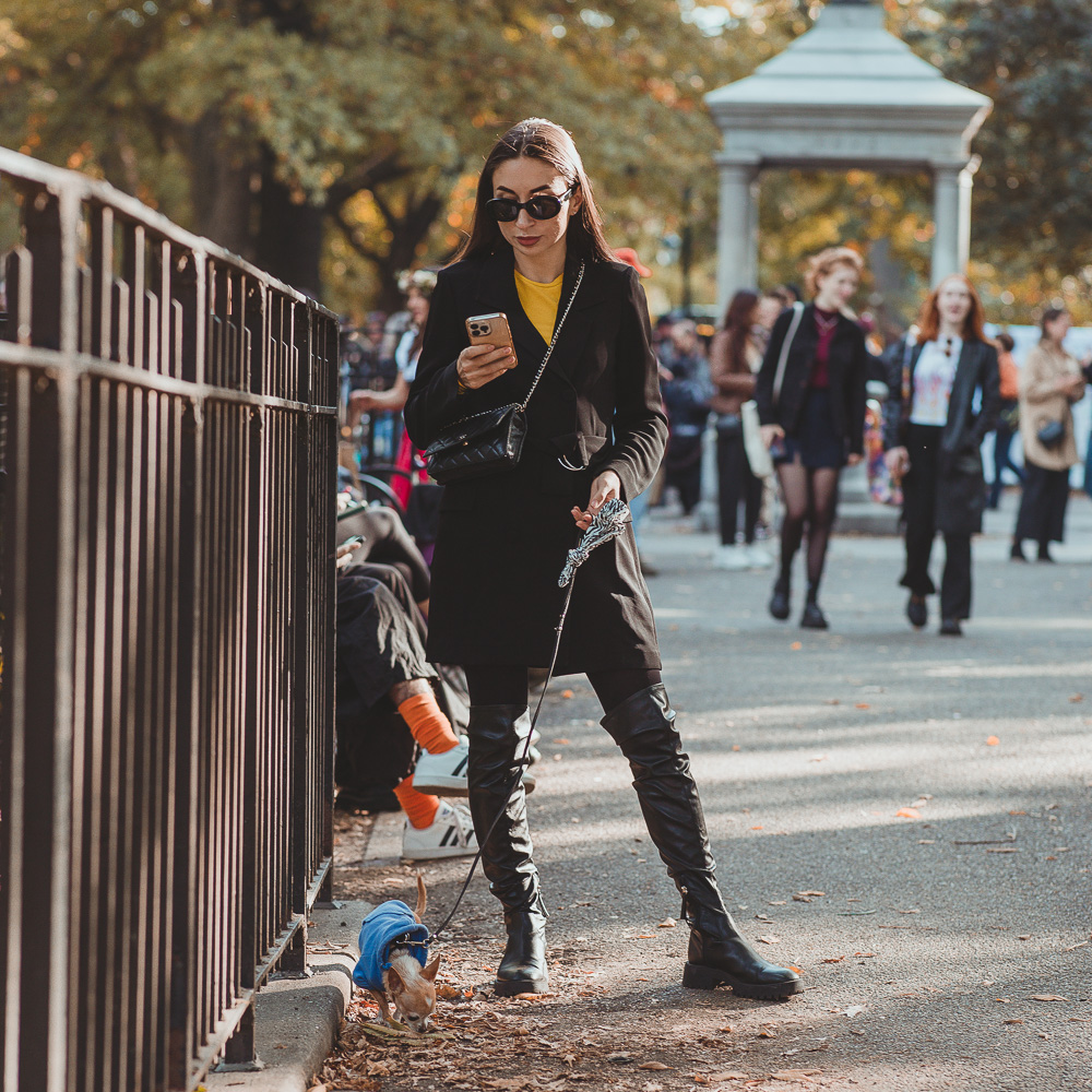 BITW Thompskins Square Park Dog Costume 23