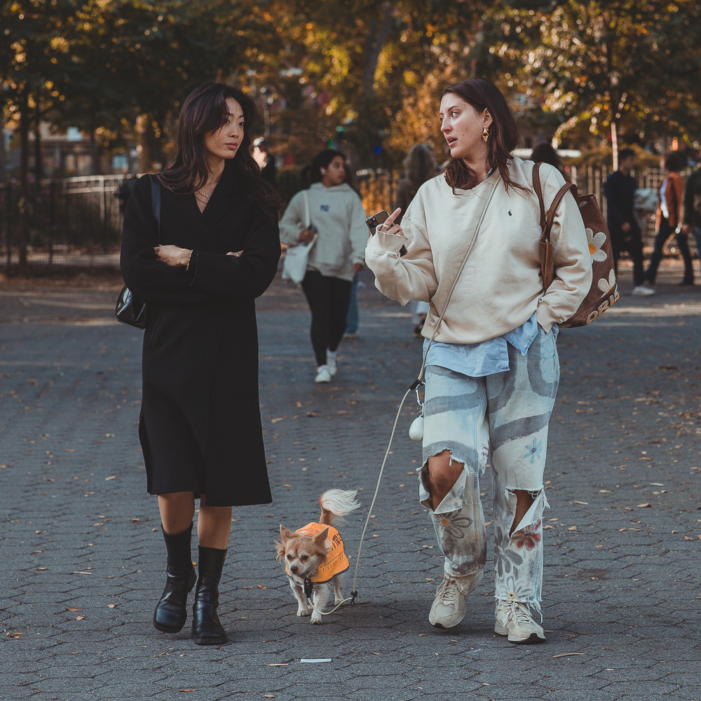 BITW Thompskins Square Park Dog Costume 25