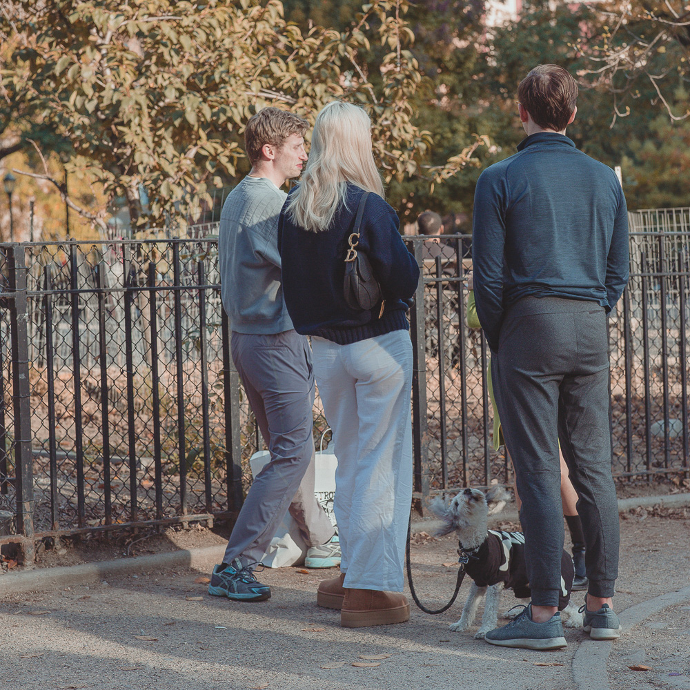 BITW Thompskins Square Park Dog Costume 26