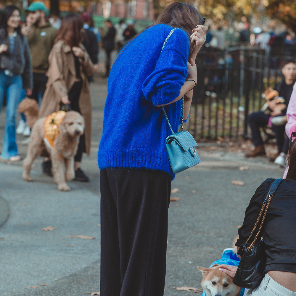 BITW Thompskins Square Park Dog Costume 27