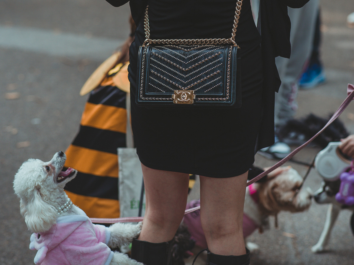 Chanel Purse Costume