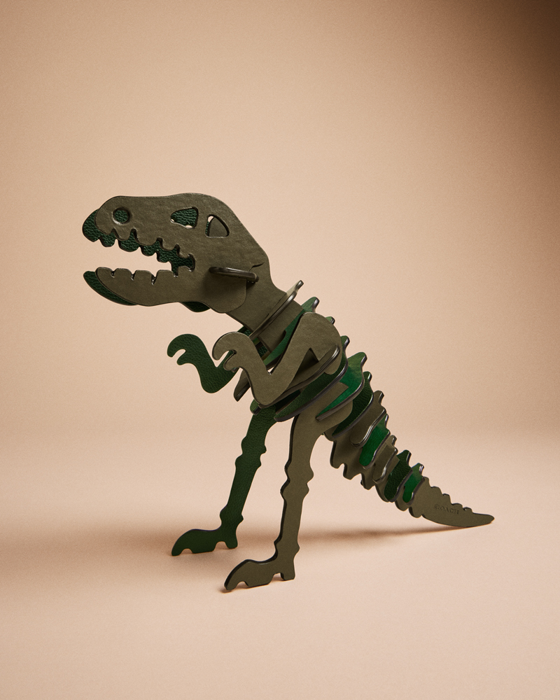 T-RexRunners  Dinosaur game - Coin Rivet