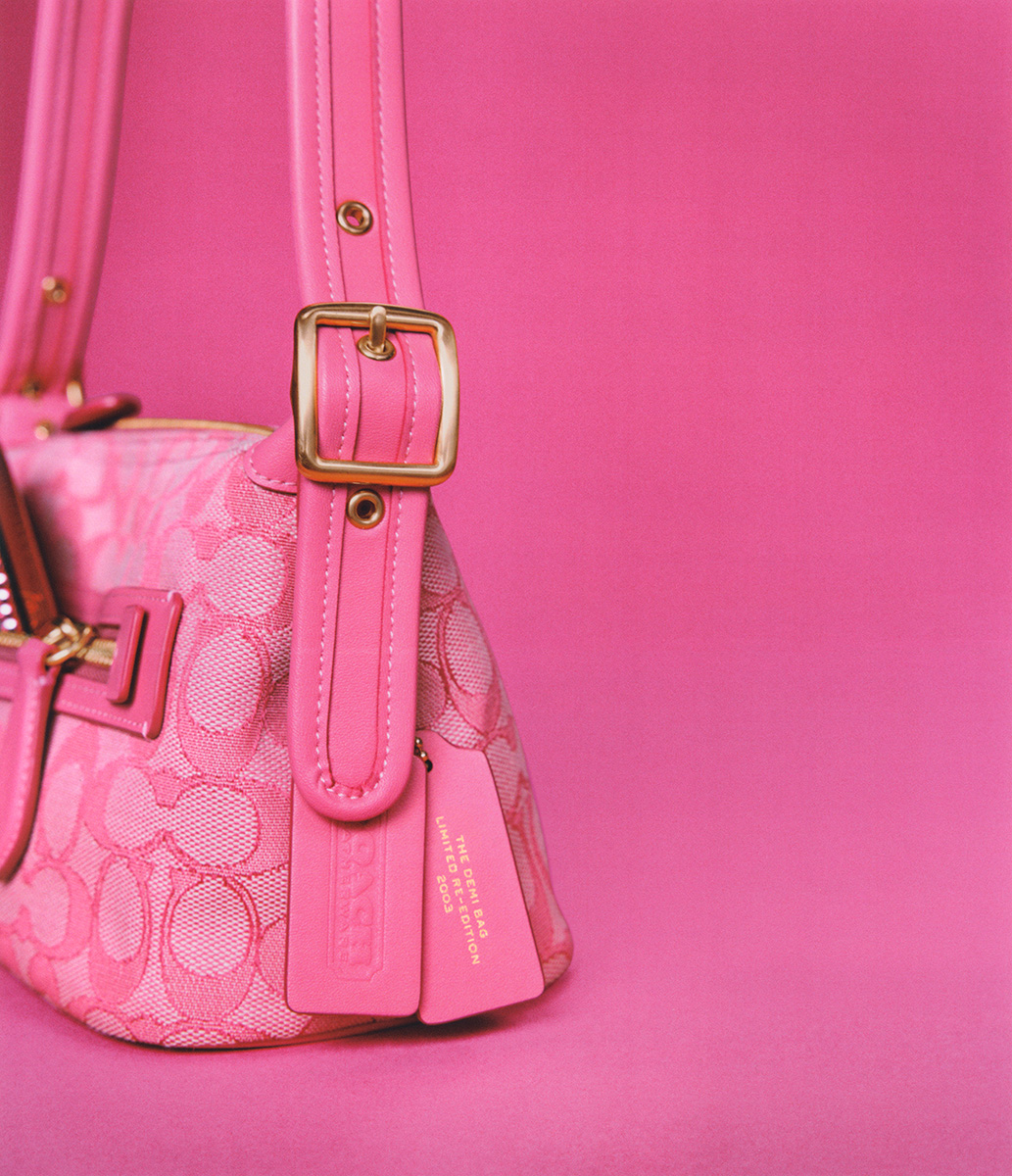 Coach demi bag clearance