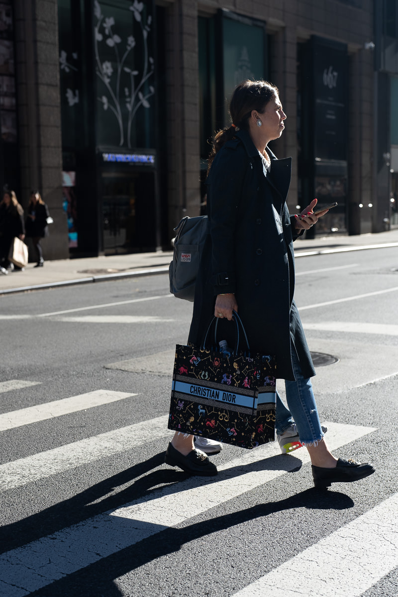 The Best Bags in the Wild We Spotted on the UES - PurseBlog