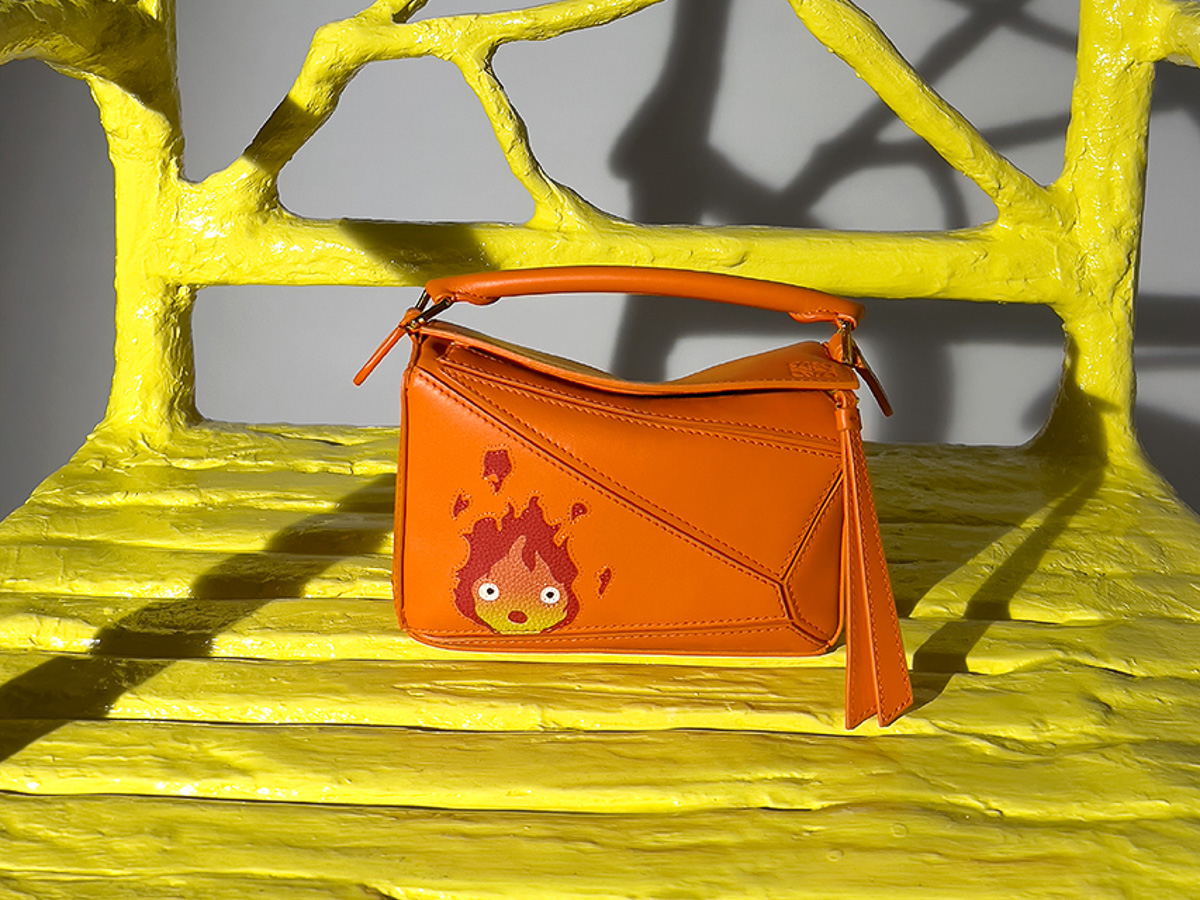 Introducing the Loewe Luna Bag - PurseBlog