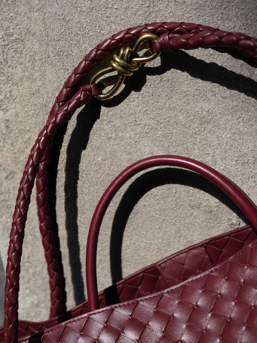 Bottega Veneta introduces the new Andiamo bag