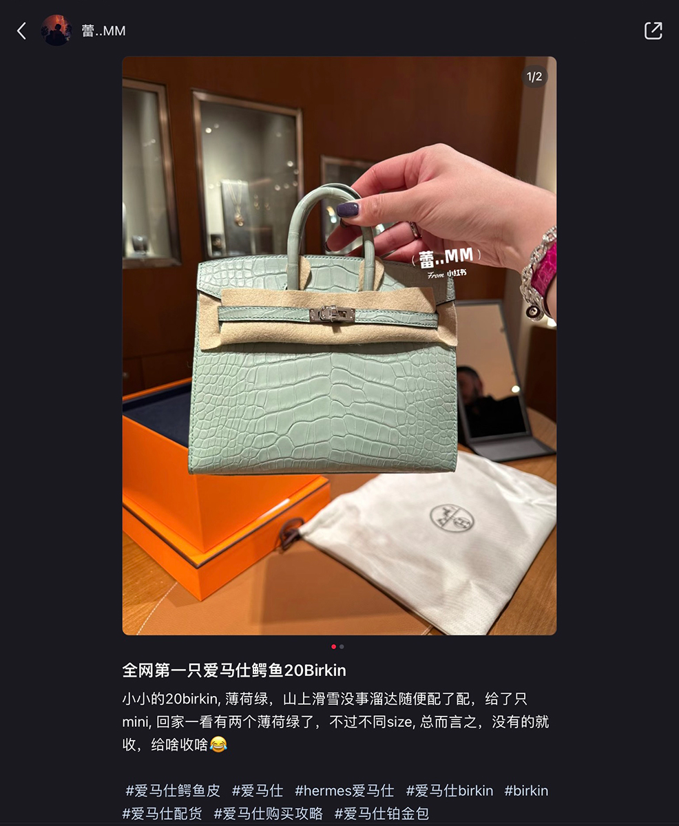 hermes birkin 20