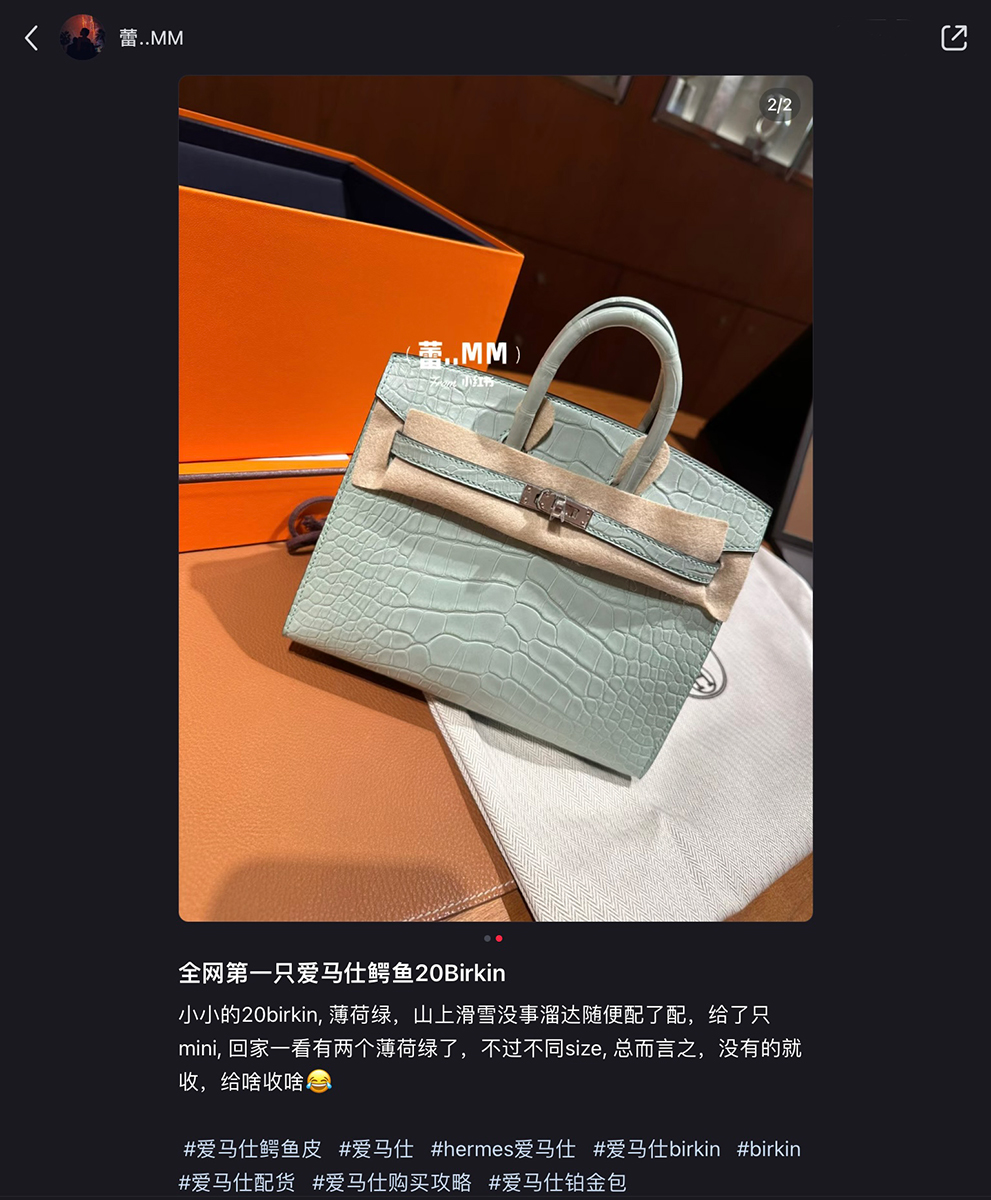 The 20cm Hermès Birkin: It's FINALLY Here! - PurseBlog