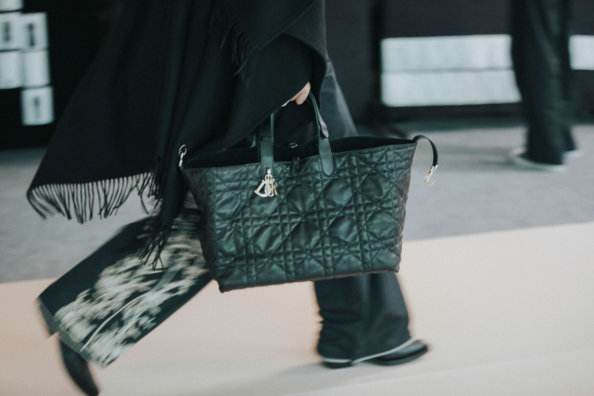 details in 2023  Dior purses, Goyard pouch, Bags