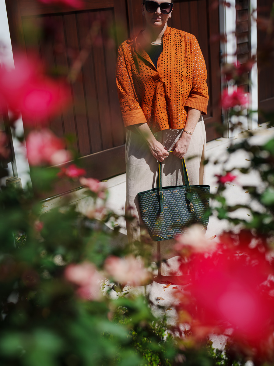 GOYARD ST LOUIS TOTE VS FAURE LE PAGE DAILY BATTLE 