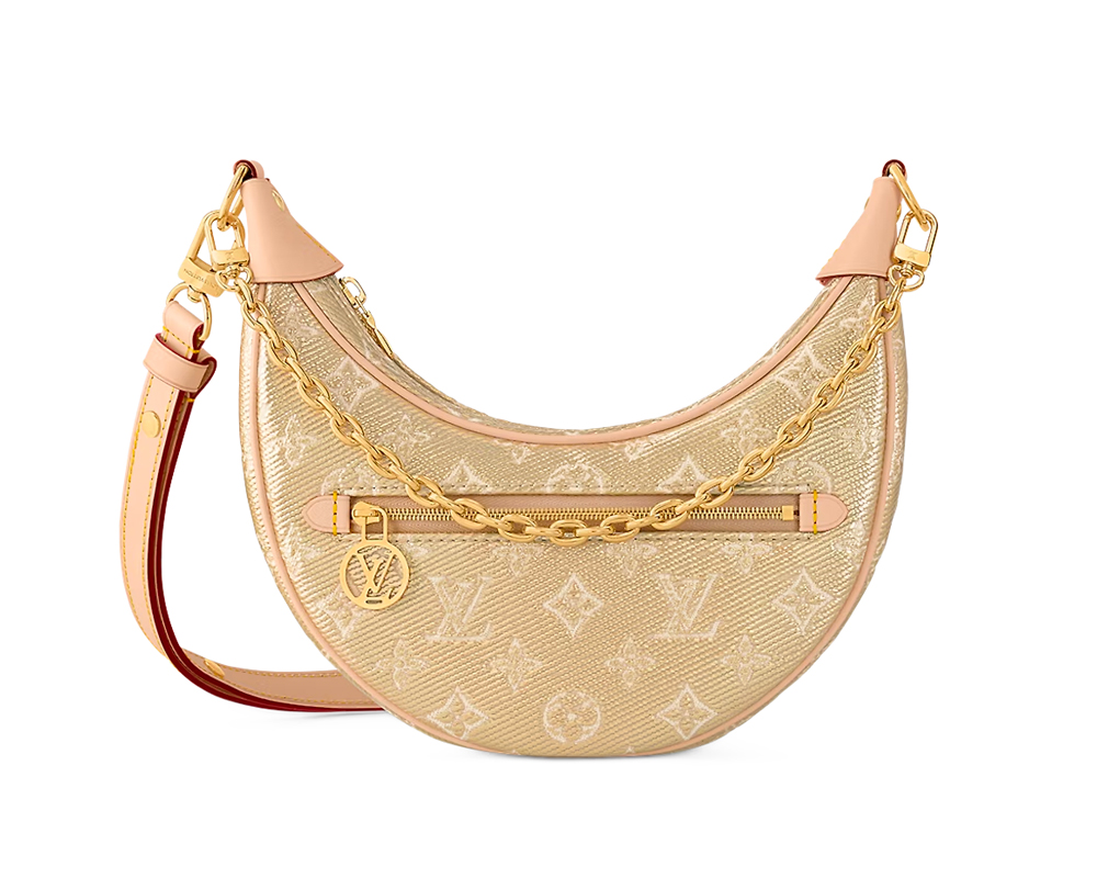 Louis Vuitton LOOP BAG in 2023