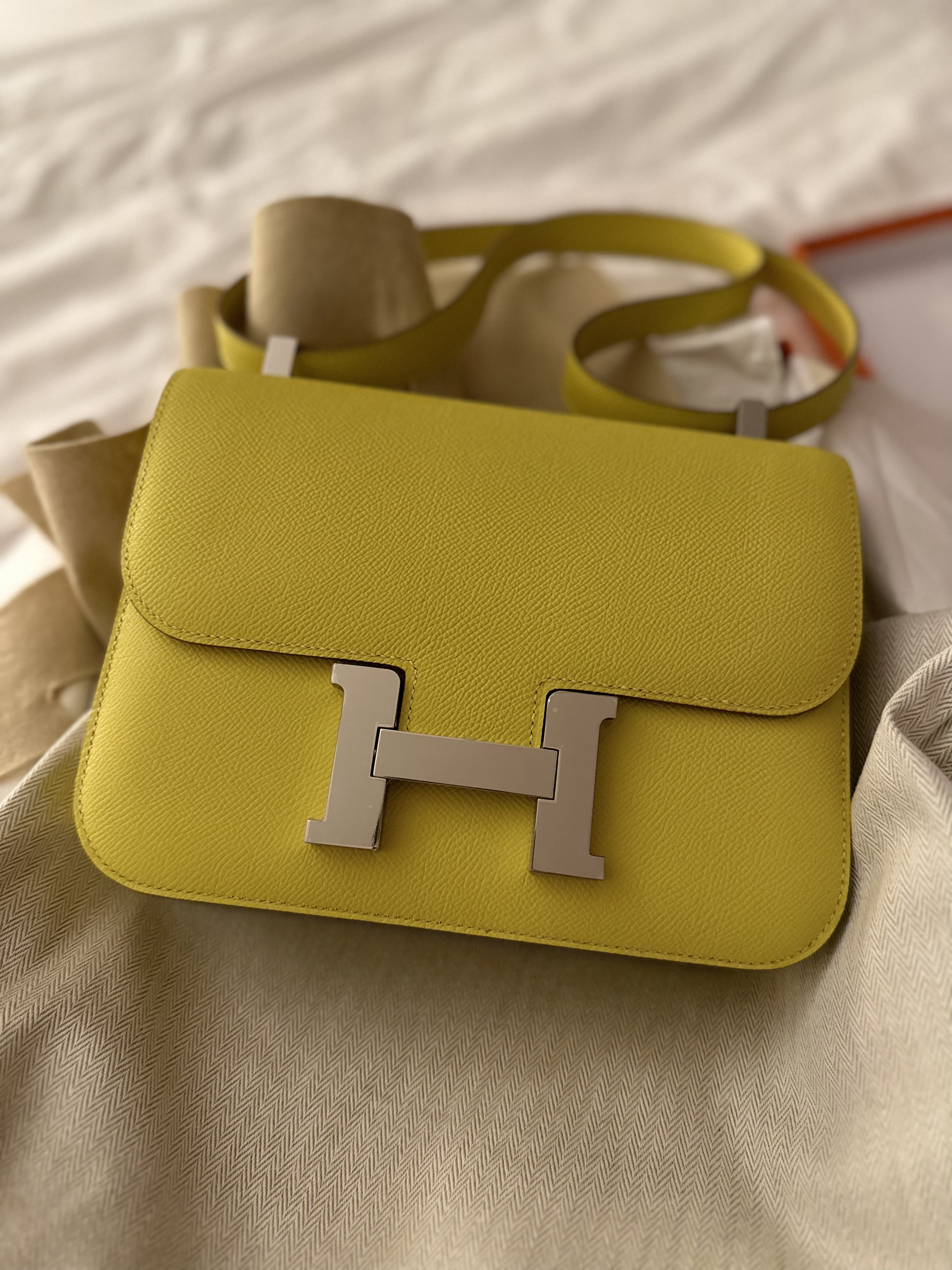 constance 1 24 in the color lime epsom phw