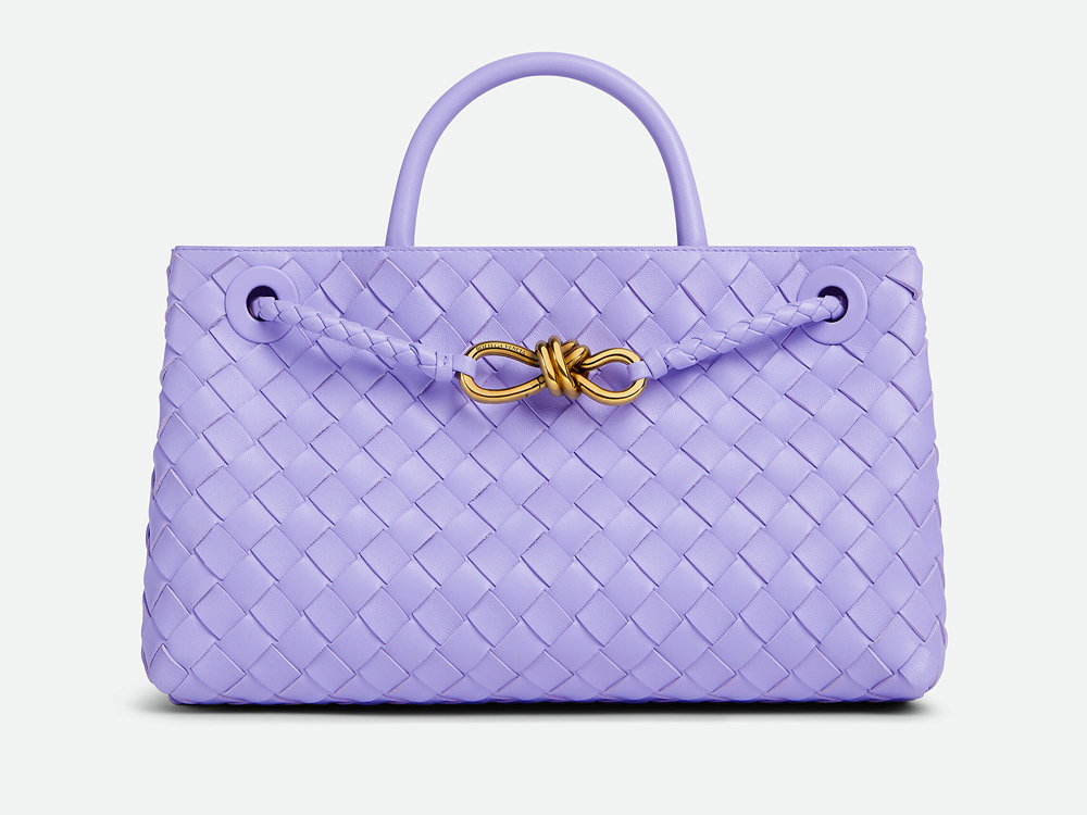 Bottega Veneta Andiamo East West Bag