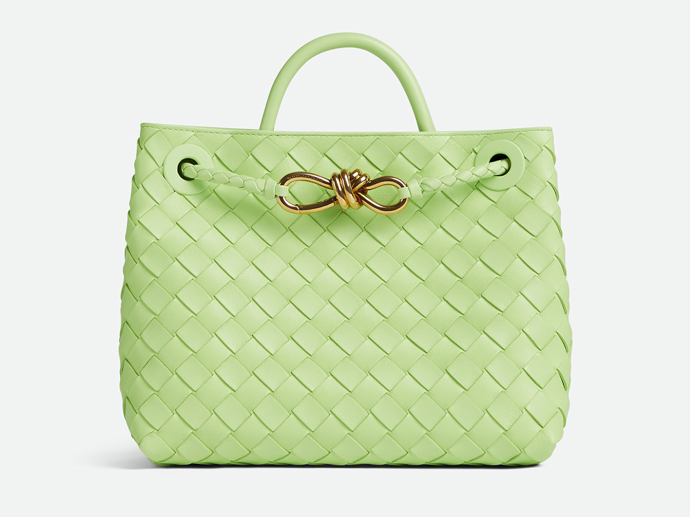 Bottega Veneta Small Andiamo Bag