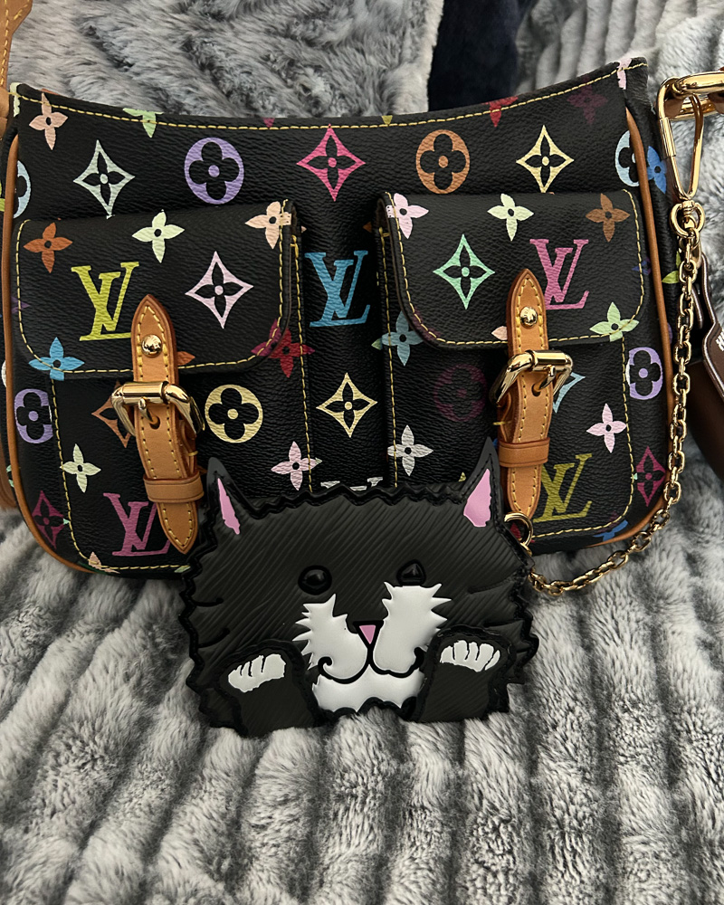 Louis Vuitton Lodge Shoulder Bag