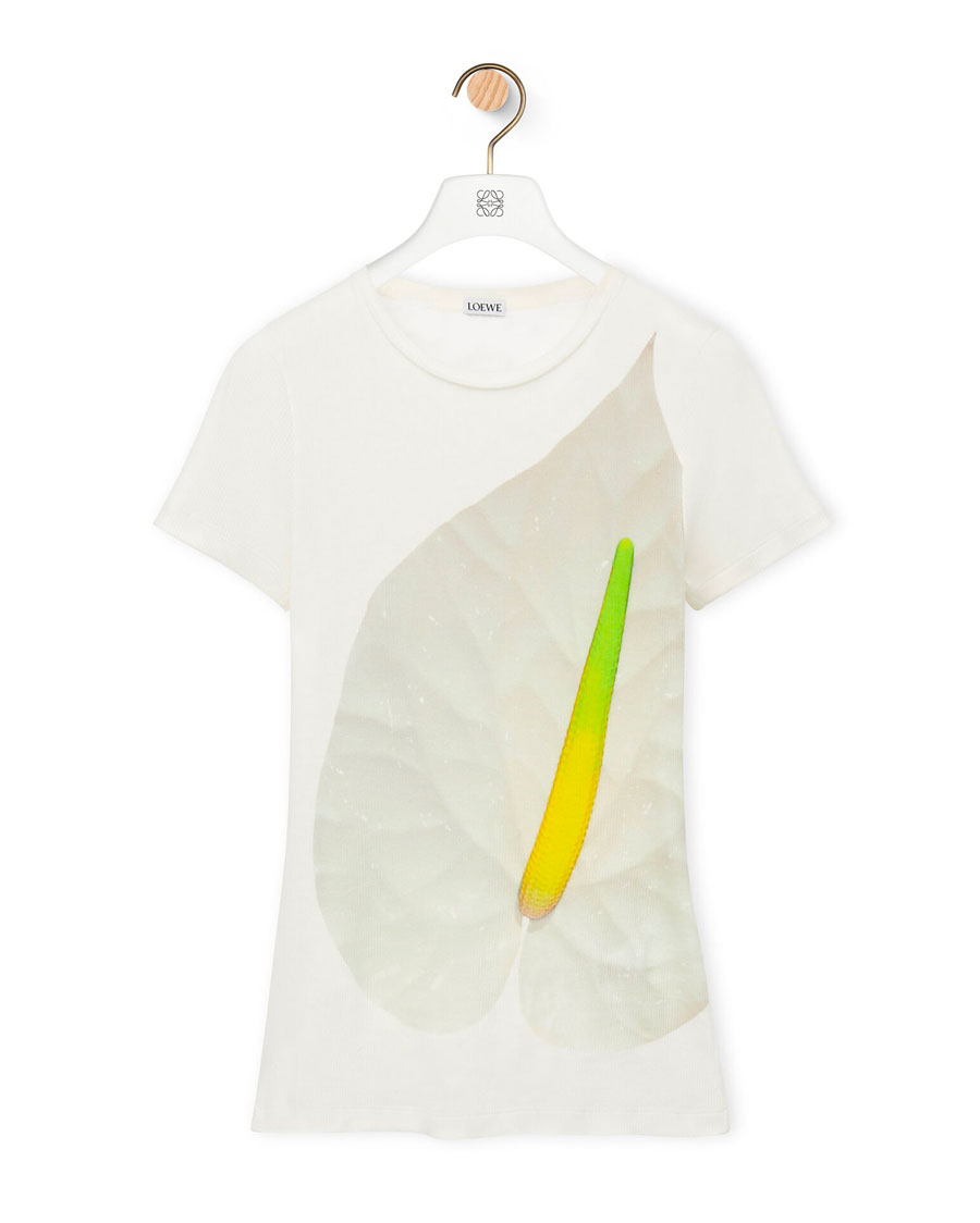 loewe Anthurium top in ribbed cotton jersey