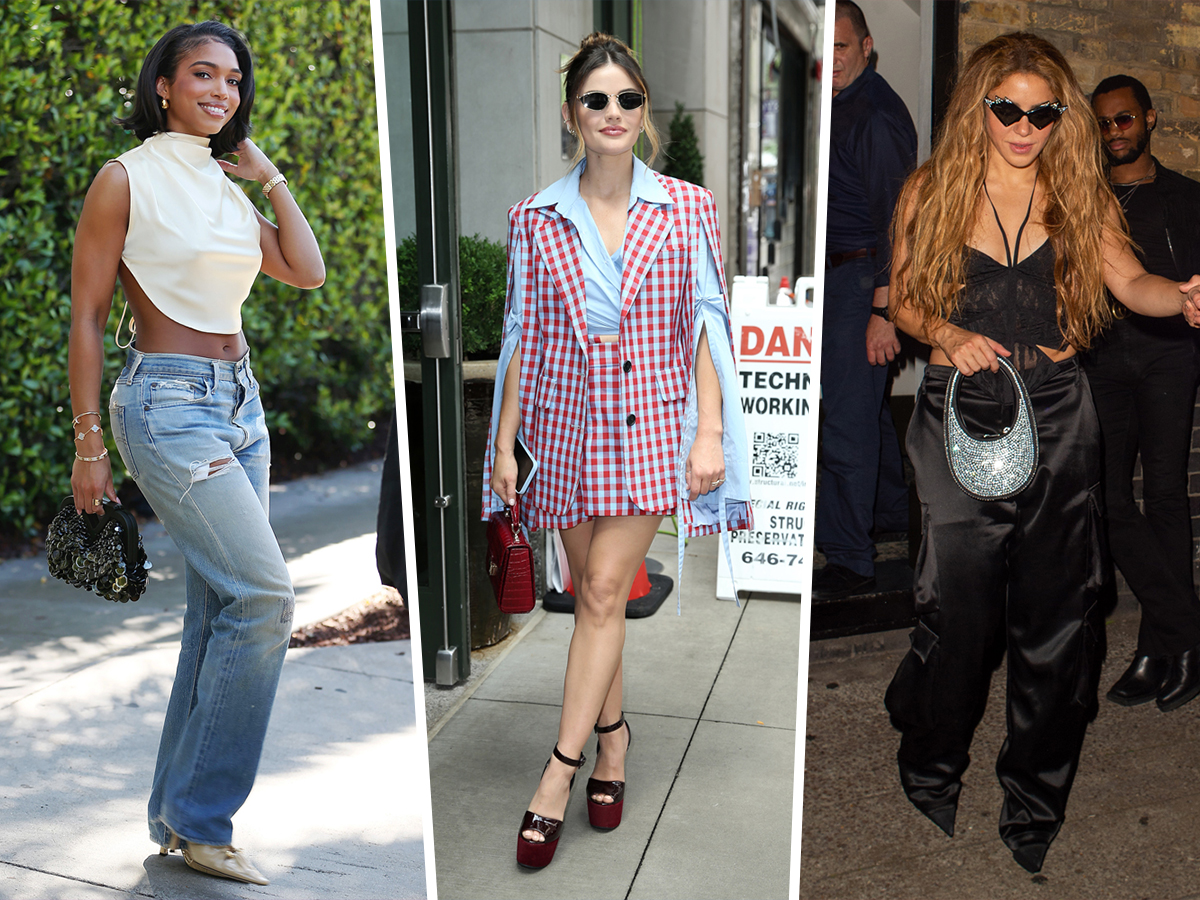 Celebrities Love Their Goyard Bags