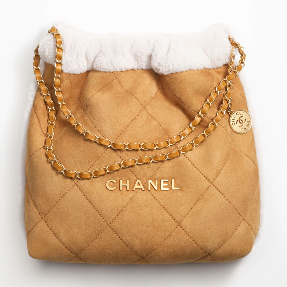 Chanl 22 Bag