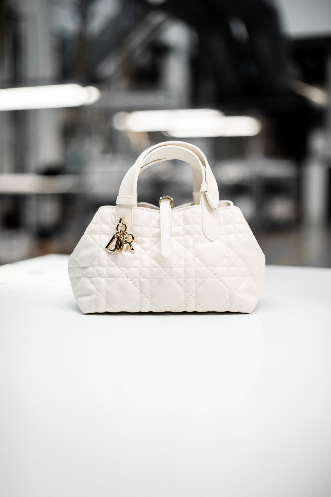 Homepage  Handbag outfit, Fashion handbags, Dior handbags