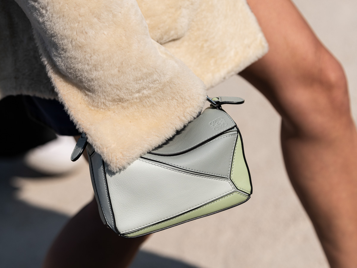 The Loewe Instagram It Bag - The Fashion Request