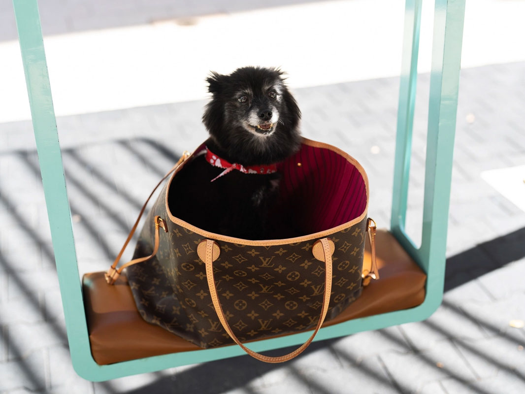 Perfect Shopper Tote: Why the Louis Vuitton Neverfull PM is a Must