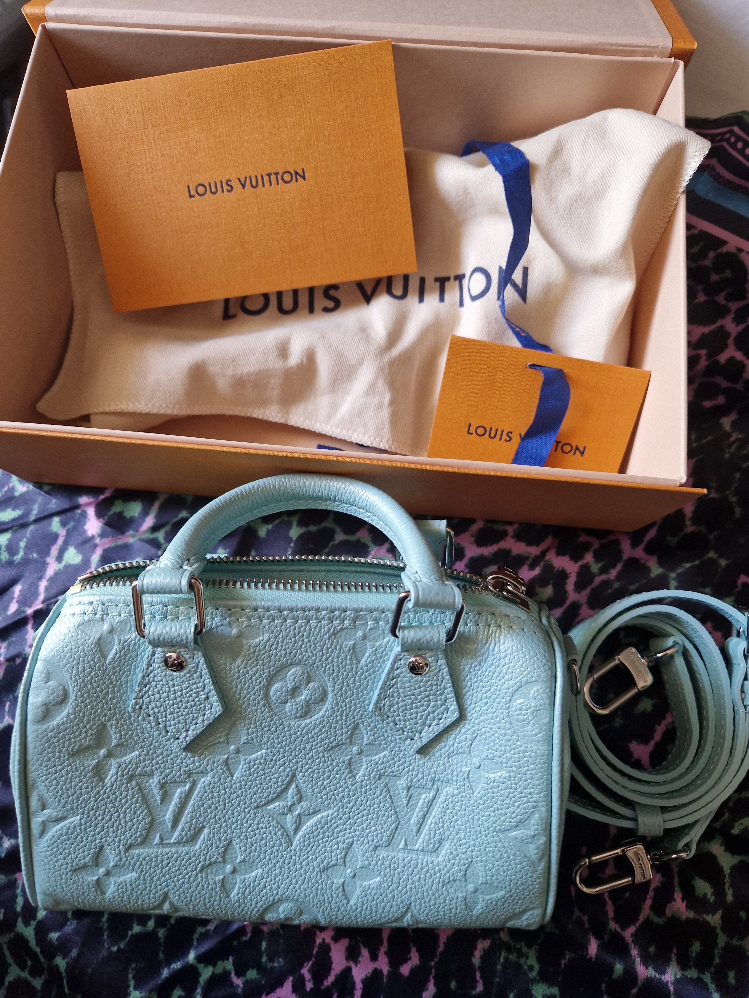 Introducing the Louis Vuitton Bleeker Box Bag - PurseBlog