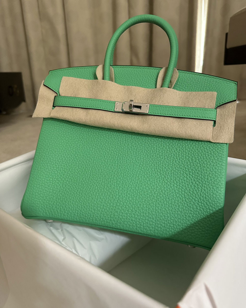 Birkin 25 Epsom Vert Criquet