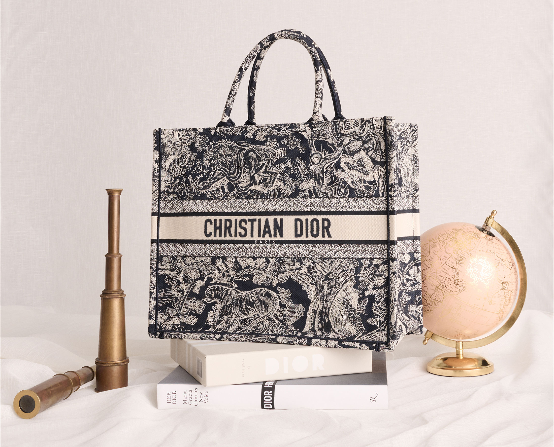 Dior Classics Book Tote Hero