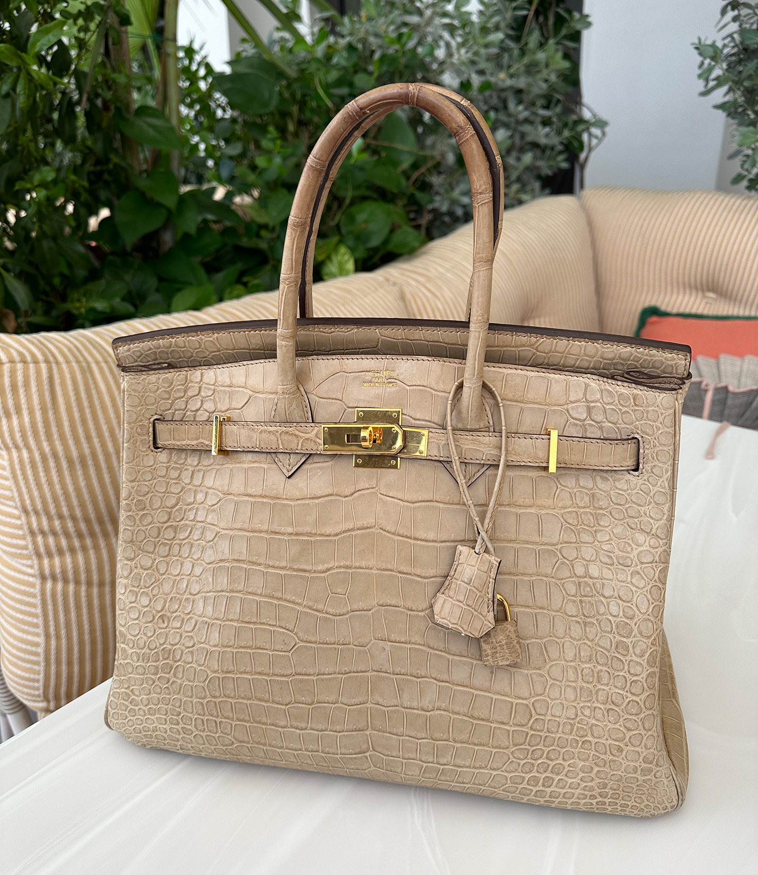 Exotic Hermes Birkin