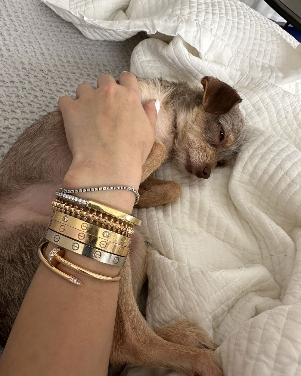 cartier clash and love bracelet stack