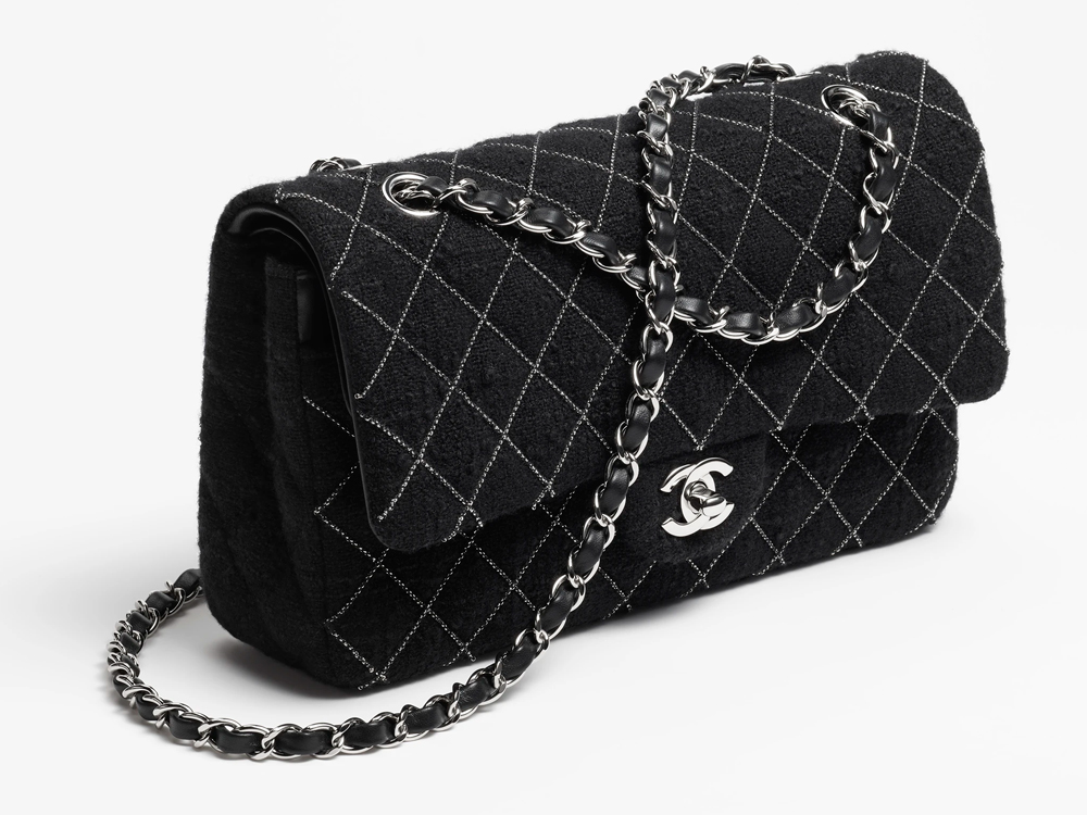 Chanel Fall 2023 Bags Are Here and These Are Our Favorites - PurseBlog