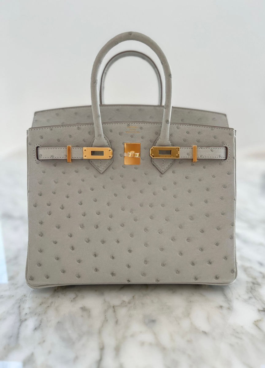 A B25 in Gris Perle Ostrich with GHW. Photo courtesy of TPFer @laviedesophiev. A B25 in Gris Perle Ostrich with GHW. Photo courtesy of TPFer @laviedesophiev.