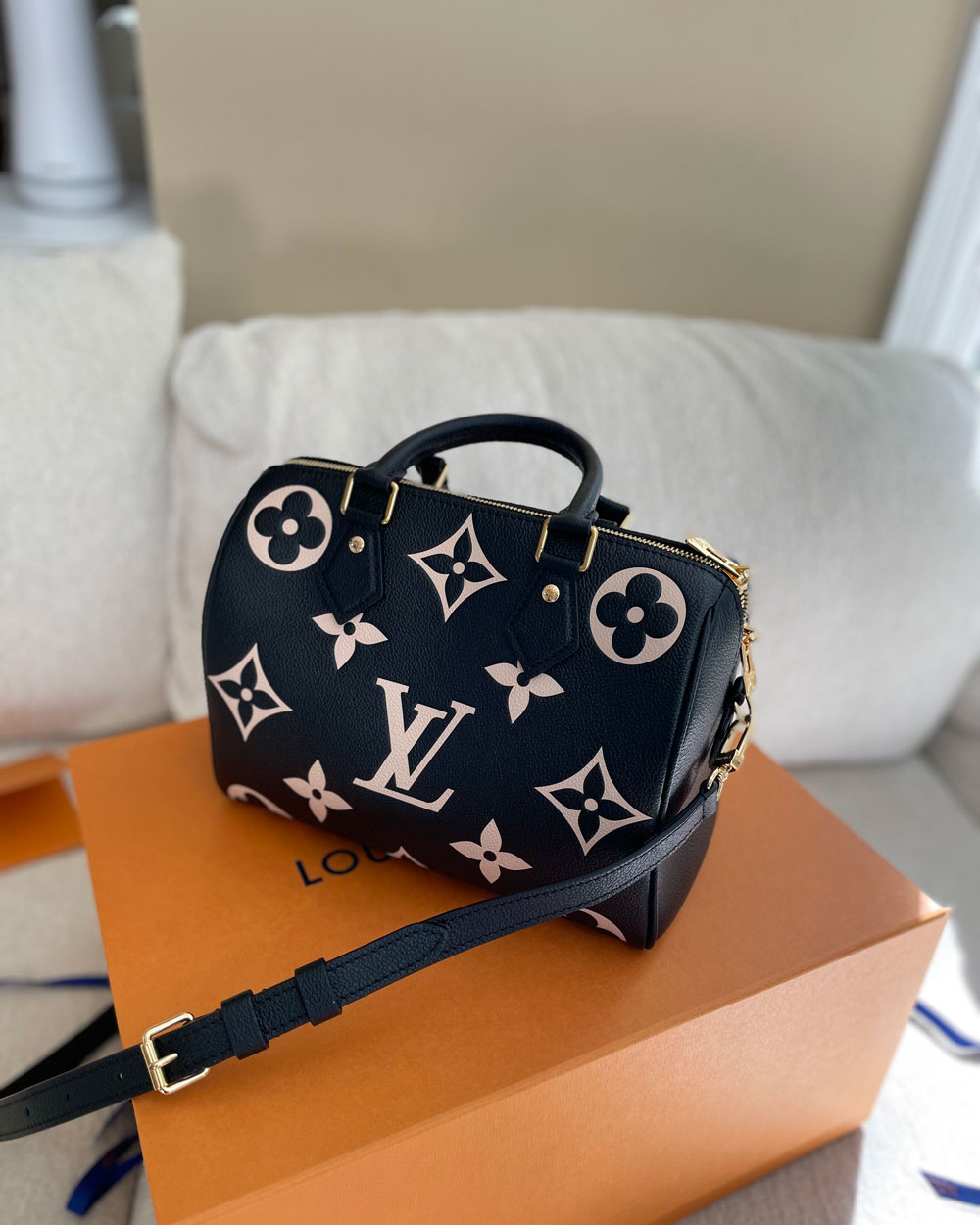 Louis vuitton Bicolor LV Speedy B 25 in Empriente leather