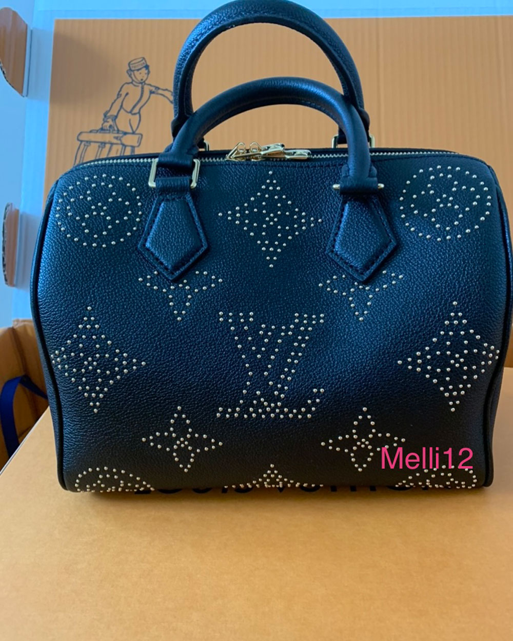 louis vuitton speedy constellation collection