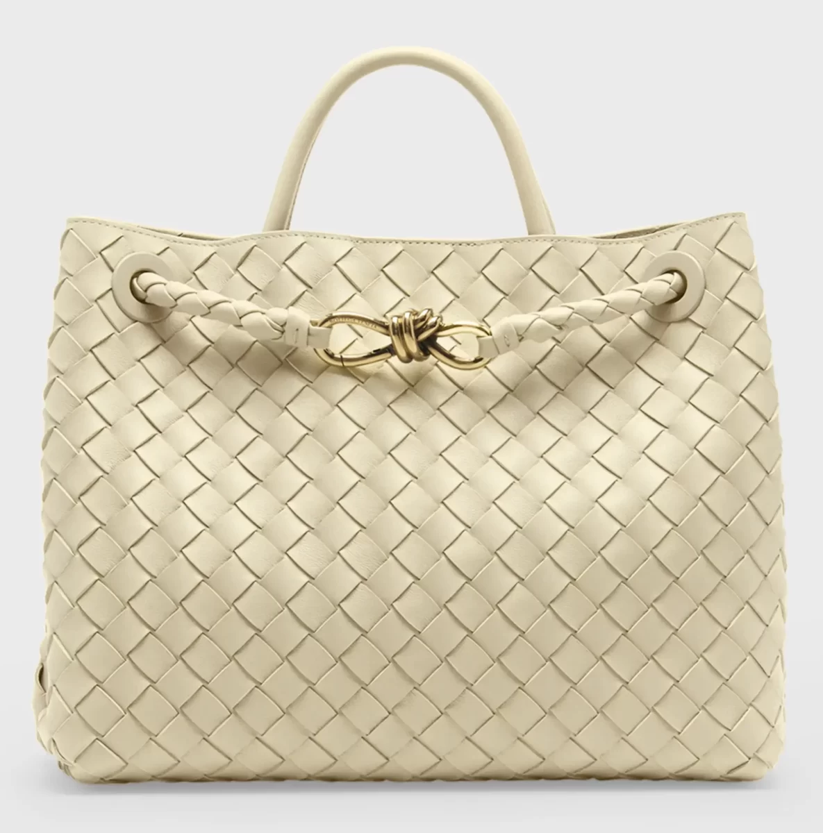 Bottega Veneta Andiamo Bag 1