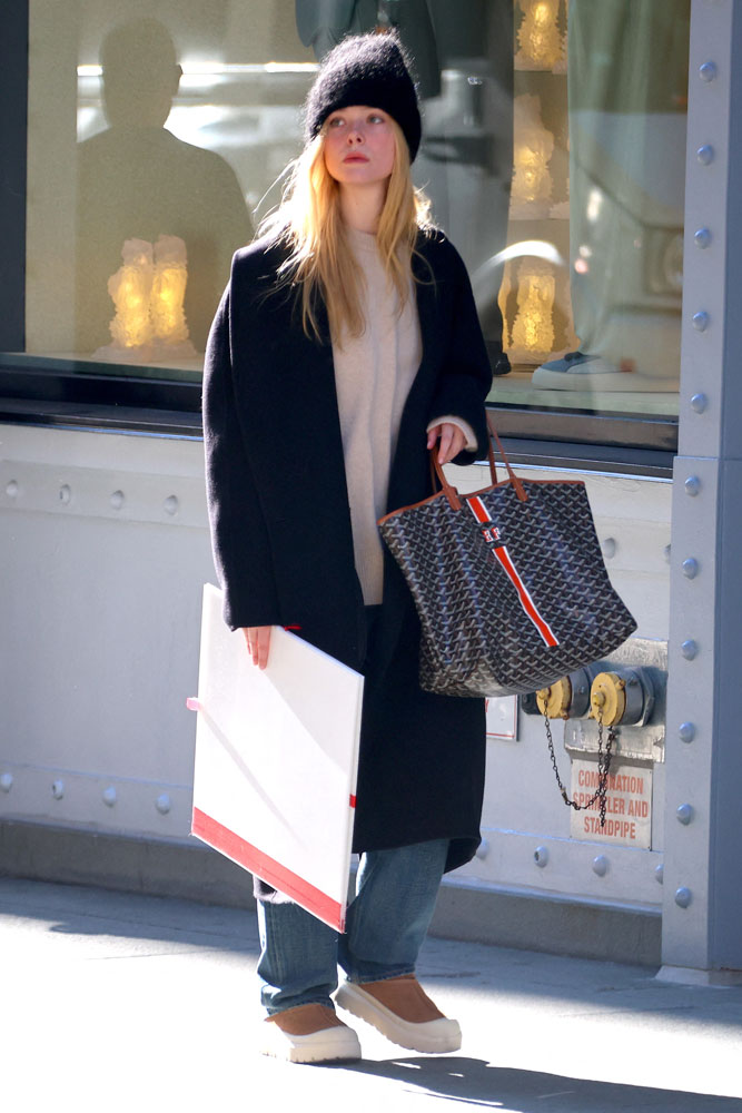 Dakota Fanning Goyard NYC