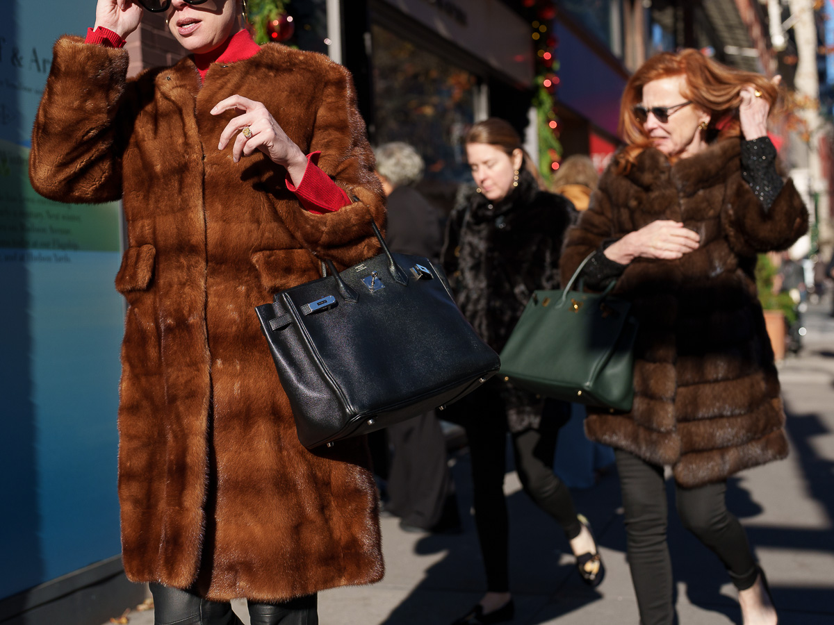 Bags In The Wild Miami NYC 25 of 30