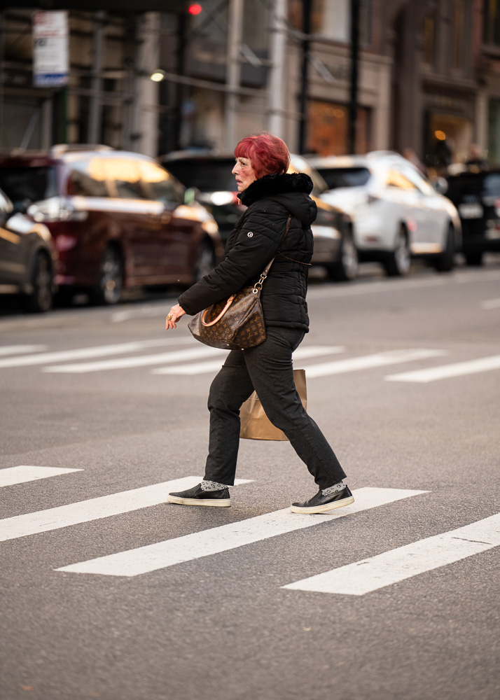 Bags in the Wild Upper East Side Dec 2023 15