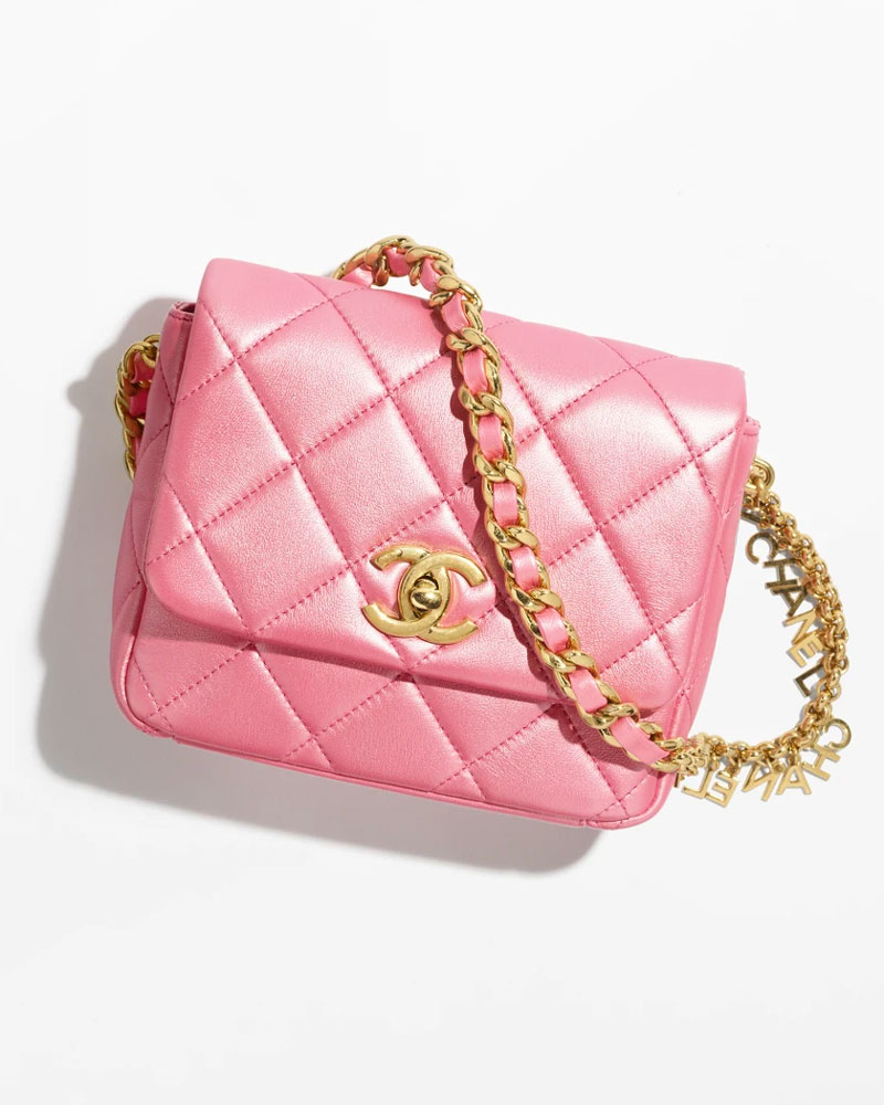 Our 14 Favorite Bags from Chanel Pre-Spring 2024 - PurseBlog
