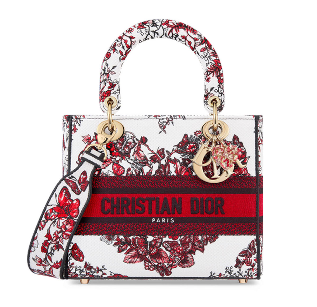 Dior MEDIUM LADY D LITE BAG with embroidery 1 Dior MEDIUM LADY D LITE BAG with embroidery 1