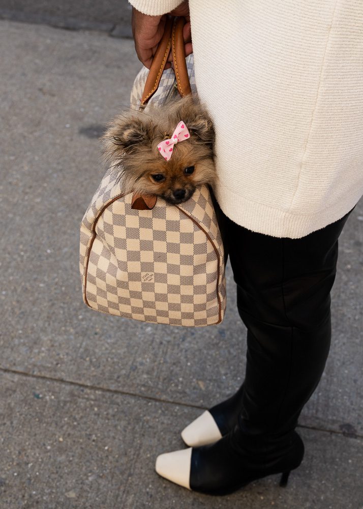 Best Bags of NYFW Day 1 18