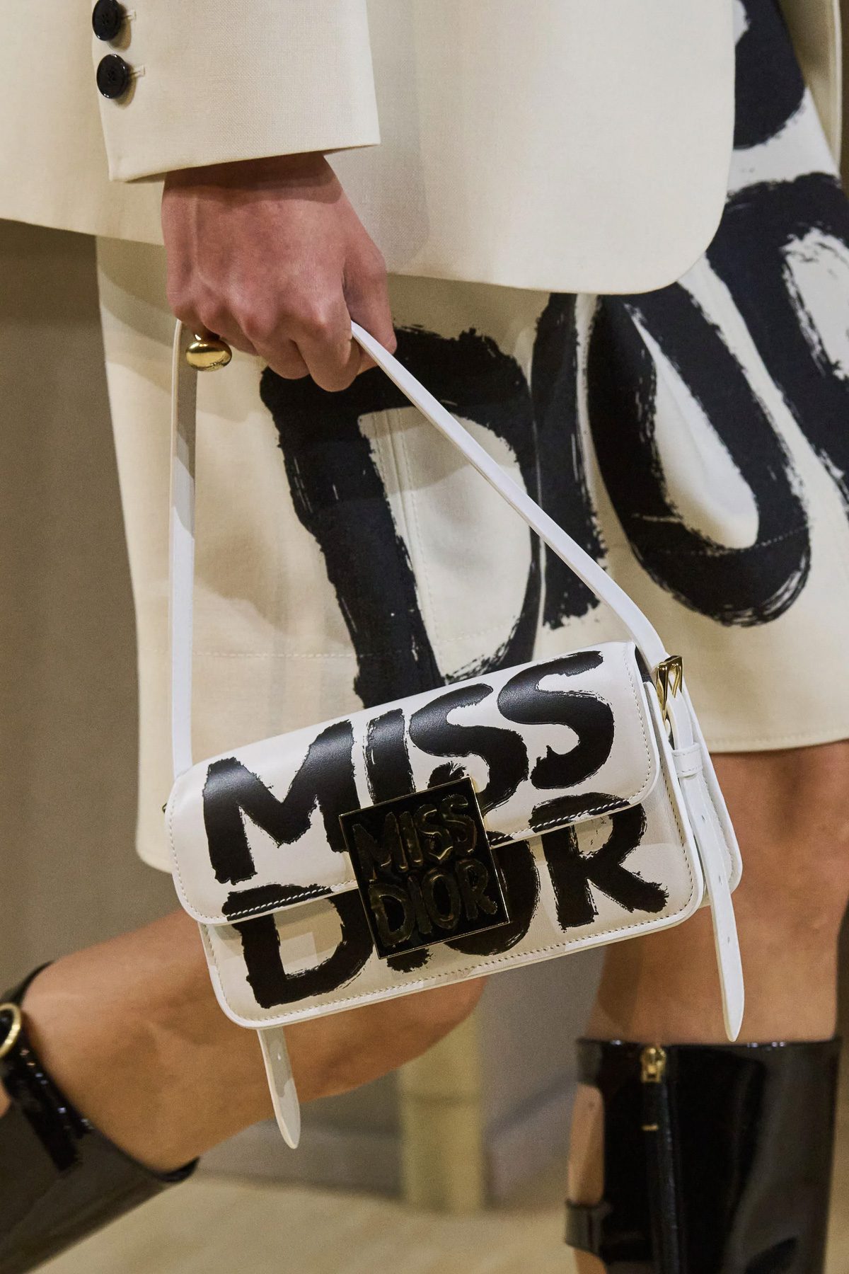 Dior Fall 2024 Runway Bags 18