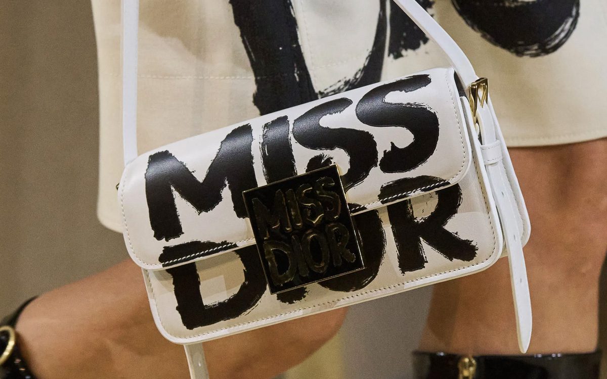 Dior Fall 2024 Runway Bags 19