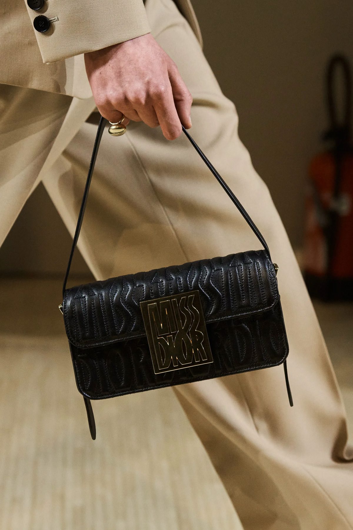 Dior Fall 2024 Runway Bags 24