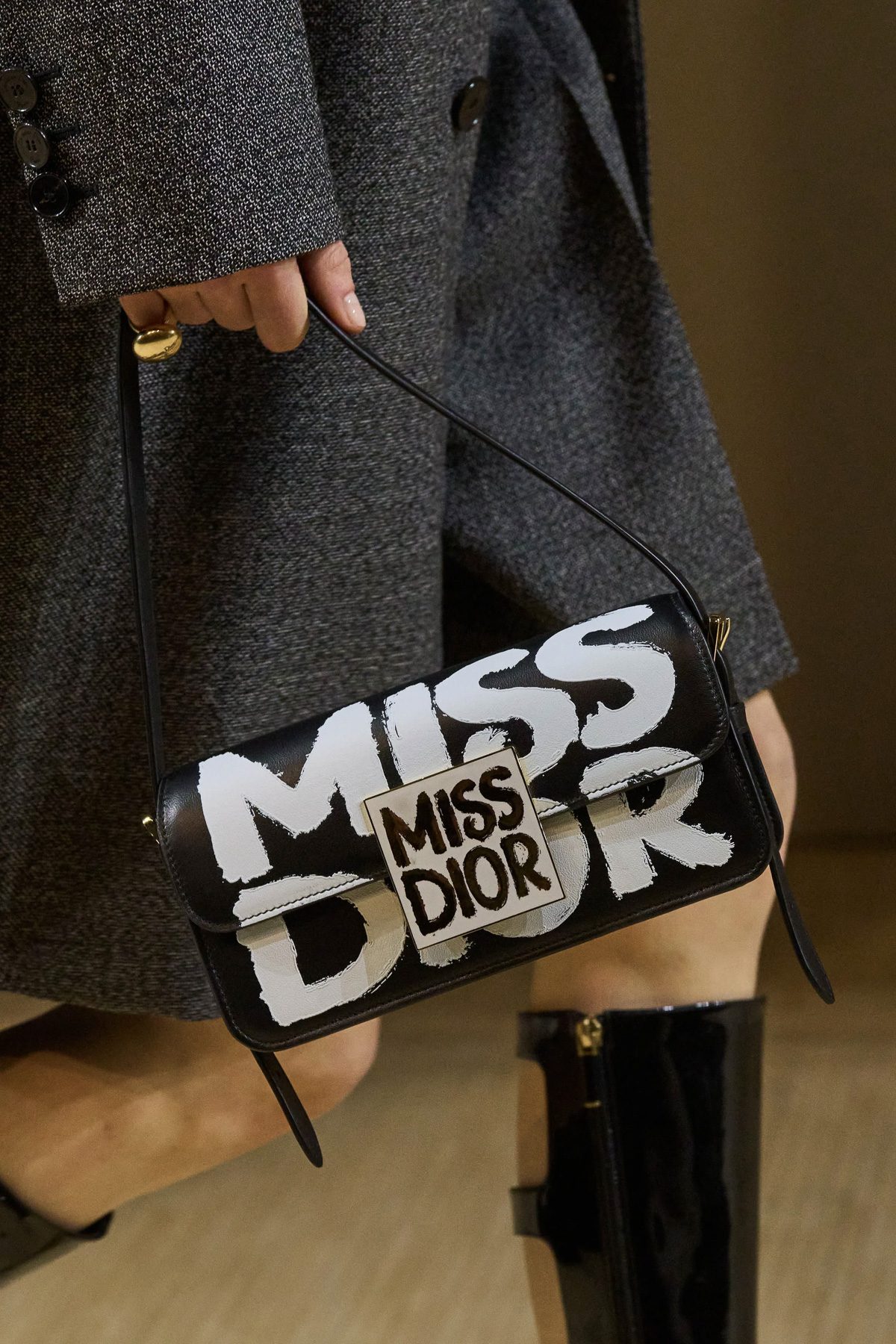 Dior Fall 2024 Runway Bags 4