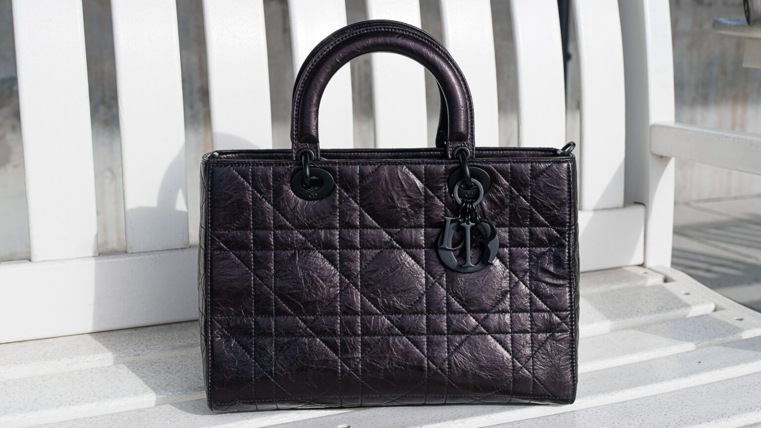 The Dior Book Tote Size Guide - PurseBlog