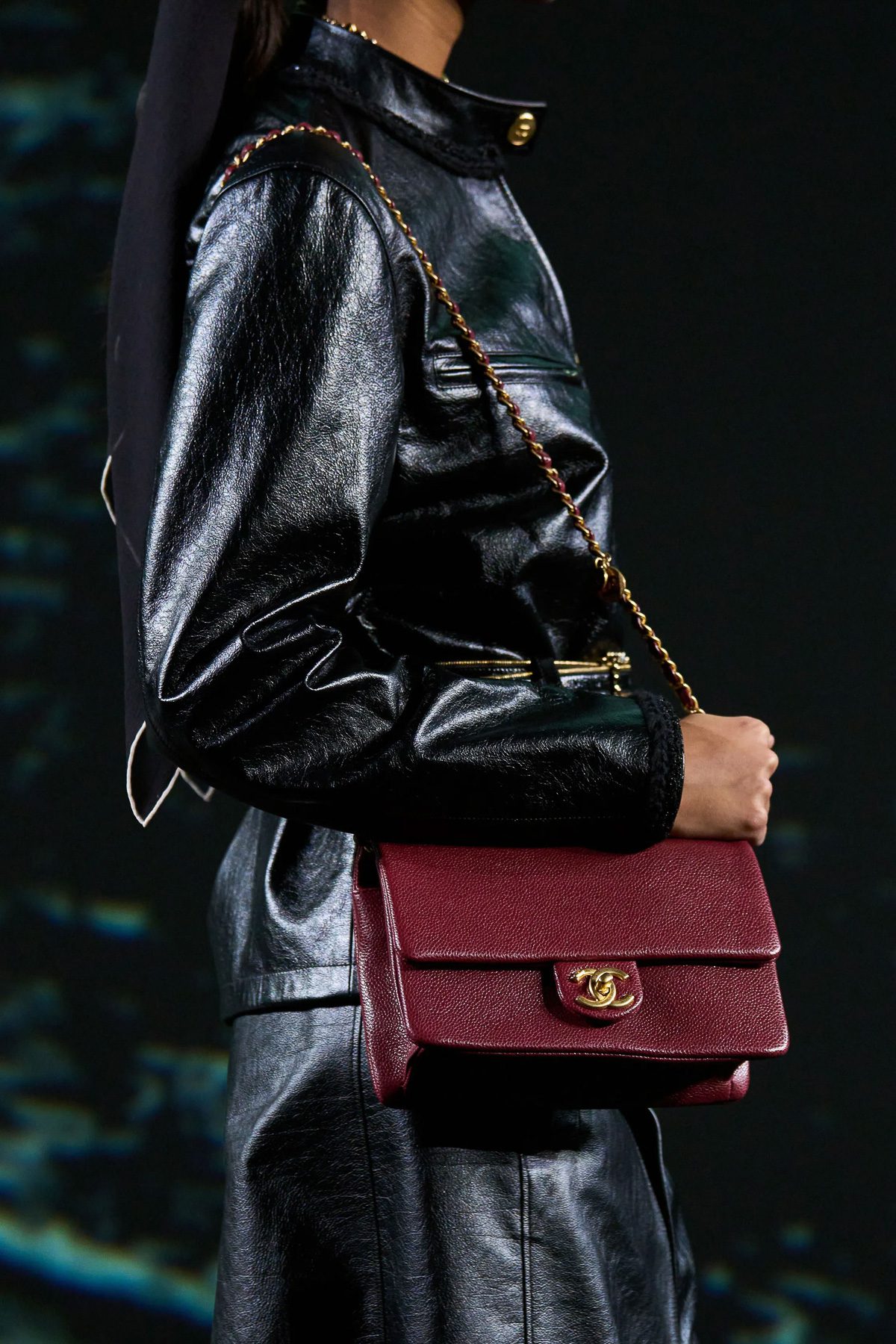 Chanel Fall 2024 Bags 14 Chanel Fall 2024 Bags 14