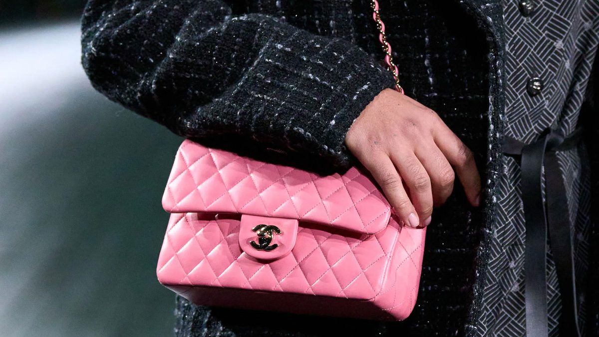 Chanel Fall 2024 Crocodile Bags 49