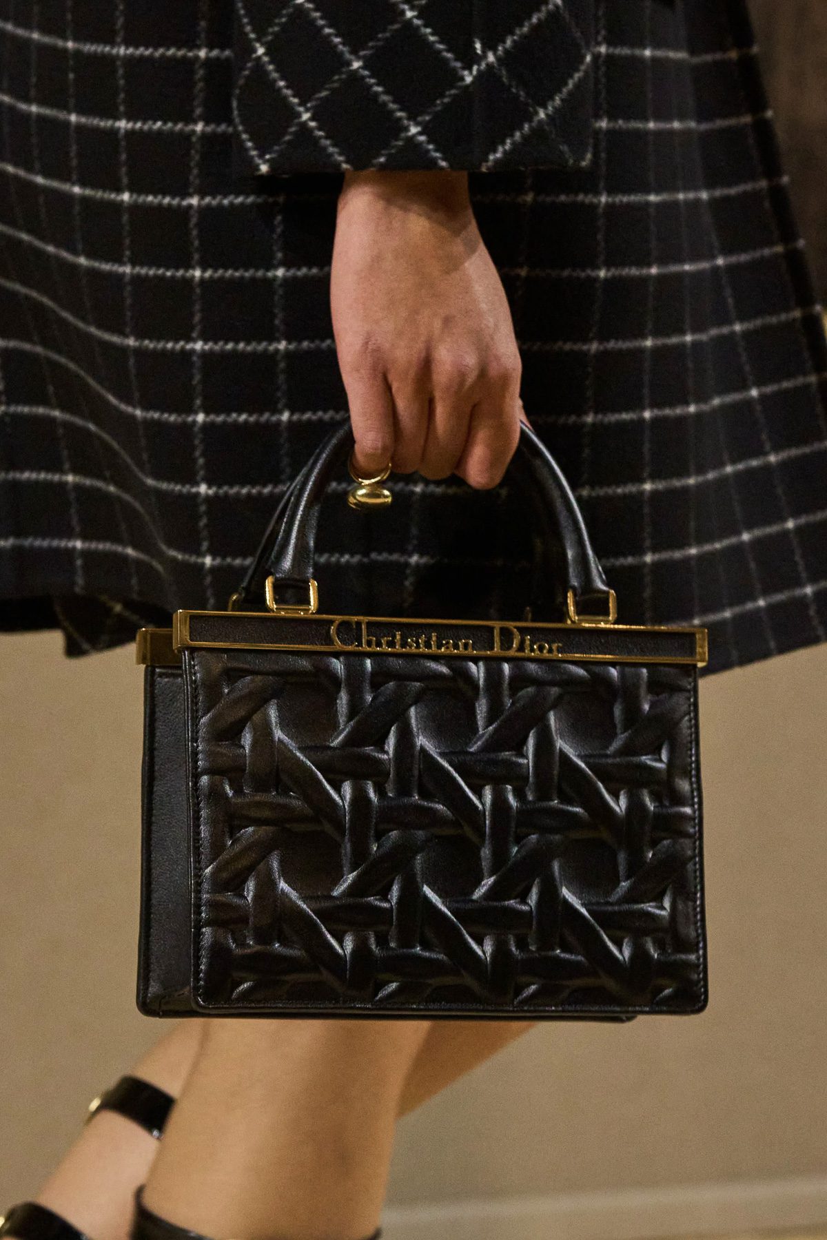 Dior Fall 2024 Runway Bags 7 Dior Fall 2024 Runway Bags 7