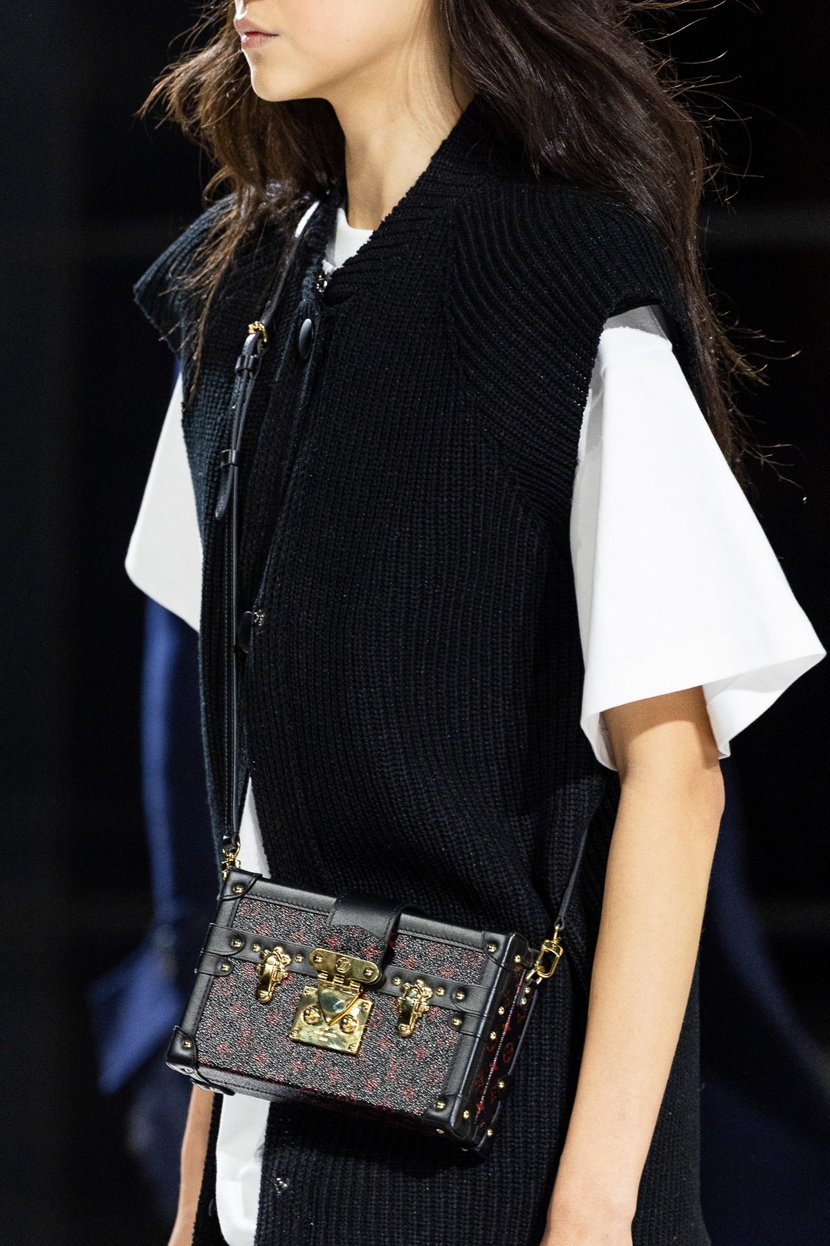 Louis Vuitton Fall 2024 Bags 23 Louis Vuitton Fall 2024 Bags 23
